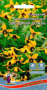 Клематис_Звездный дождь пильчатый_12_шт._Уральский Дачник