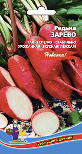 Редька_Зарево_1_г._Уральский Дачник