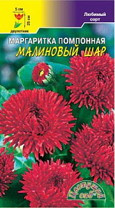 Маргаритка_Малиновый шар_0_г._Цветущий Сад