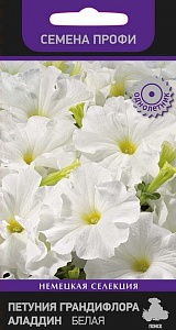 Петуния_Аладдин F1 Белая (грандифлора)_30_шт._Поиск