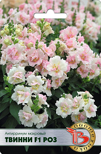 Львиный зев (антирринум)_Твинни F1 Роз махр_15_шт._Биотехника