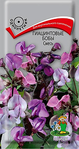 Бобы_Гиацинтовые (долихос) см_1_г._Поиск