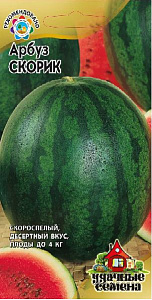 Арбуз_Скорик_1_г._Гавриш