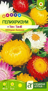 Гелихризум (бессмертник)_Том Тамб см_0,2_г._Семена Алтая