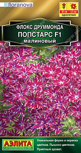 Флокс_Попстарс F1 Малиновый (Floranova Золотая серия)_0,04_шт._Аэлита