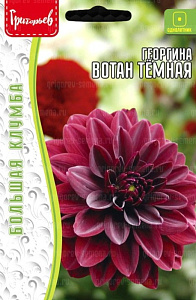 Георгин_Вотан Темная (Wotan Dark Leaf) б/ф_15_шт._Григорьев