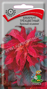 Амарант_Красный осьминог (трехцветный)_0,1_г._Поиск