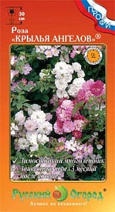 Роза_Крылья Ангелов (полиантовая)_10_шт._НК