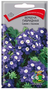 Вербена_Синяя с Глазком (гибридная)_0,1_г._Поиск