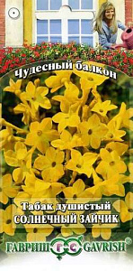 Табак душистый_Солнечный Зайчик Желтый (Чудесный балкон)_0,1_г._Гавриш