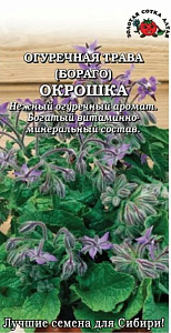 Огуречная трава_Бораго Окрошка_0,04_г._Золотая Сотка Алтая