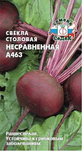 Свекла_Несравненная А463_3_г._Седек