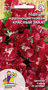 Годеция_Красный Закат_0,1_г._Уральский Дачник