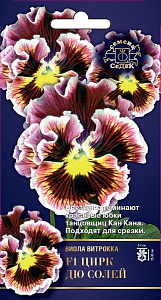 Виола (анютины глазки)_Цирк дю Солей F1_5_шт._Седек