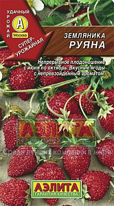 Земляника_Руяна альпийская_0_г._Аэлита