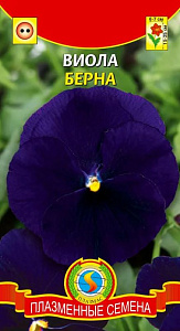 Виола (анютины глазки)_Берна_0,04_г._Плазменные семена