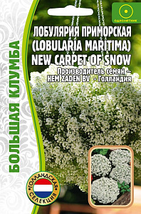 Алиссум (лобулярия)_New Carpet of Snow б/ф_500_шт._Григорьев