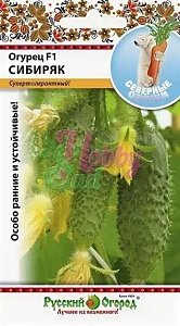 Огурец_Сибиряк F1 (Северные Овощи)_0,04_шт._НК
