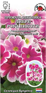 Примула_Либре Роуз Пикоти (Syngenta)_5_шт._Золотая Сотка Алтая