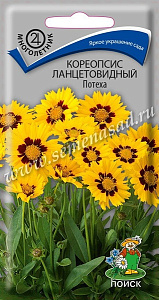 Кореопсис_Потеха_0,1_г._Поиск