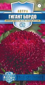 Астра_Гигант бордо (игольчато-коготковая) (Русский богатырь)_0,1_г._Гавриш