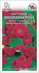Настурция_Вишневая роза (куст)_0,5_г._Золотая Сотка Алтая