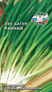 Лук_Ранний (батун многолетний)_1_г._Седек
