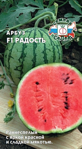 Арбуз_Радость F1_1_г._Седек