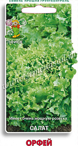 Салат_Орфей (п/кочан)_1_г._Поиск