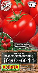 Томат_Прима-66 F1_20_шт._Аэлита