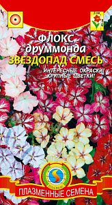 Флокс_Звездопад см_0,04_г._Плазменные семена