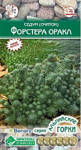 Седум (очиток)_Форстера Оракл_10_шт._Евросемена