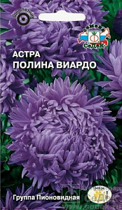 Астра_Полина Виардо (пионовидная, темно-фиолетовая с проседью)_0,2_г._Седек