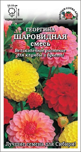 Георгин_Шаровидная см_0,1_г._Золотая Сотка Алтая