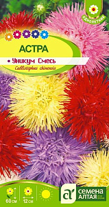 Астра_Уникум см (игольчатая)_0,3_г._Семена Алтая
