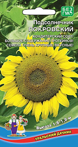 Подсолнечник_Покровский_5_г._Уральский Дачник