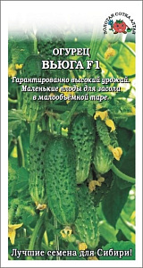 Огурец_Вьюга F1_0,2_г._Золотая Сотка Алтая