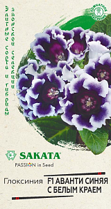 Глоксиния_Аванти Синяя с Белым краем F1_4_шт._Гавриш