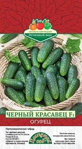 Огурец_Черный красавец F1_0,04_г._Цветущий Сад