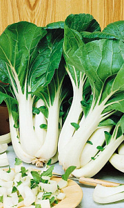 Капуста_китайская_Краса Востока_0,2_г._Уральский Дачник