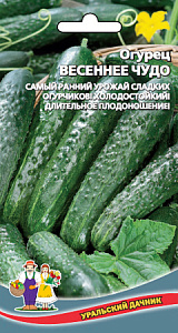 Огурец_Весеннее чудо F1_0,3_г._Уральский Дачник