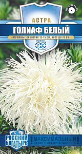 Астра_Голиаф белый (игольчатая) (Русский богатырь)_0,3_г._Гавриш