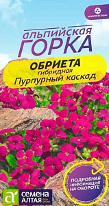 Обриета (аубреция)_Пурпурный каскад (альпийская горка)_0,04_г._Семена Алтая