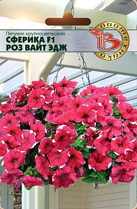 Петуния_Сферика F1 Роз Вайт Эдж_10_шт._Биотехника