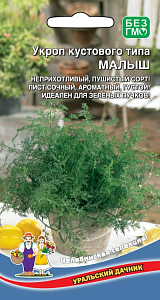 Укроп_Малыш_2_г._Уральский Дачник