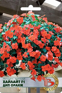 Бальзамин_Хайлайт Дип Оранж F1 (амп)_0,04_шт._Биотехника