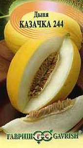 Дыня_Казачка ср_0,5_г._Гавриш