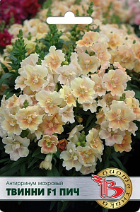 Львиный зев (антирринум)_Твинни F1 Пич махр_15_шт._Биотехника