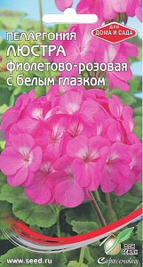 Герань (Пеларгония)_Люстра Фиолетово-Розовая с белым глазком_4_шт._Дом Семян С-П