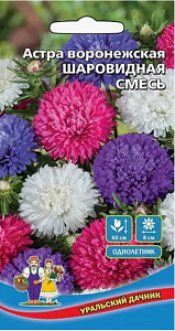 Астра_Шаровидная см (обильноцветущая)_0,2_г._Уральский Дачник